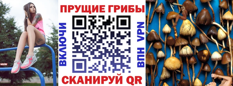 ОМГ ОМГ рабочий сайт  Пласт  Псилоцибиновые грибы мицелий 